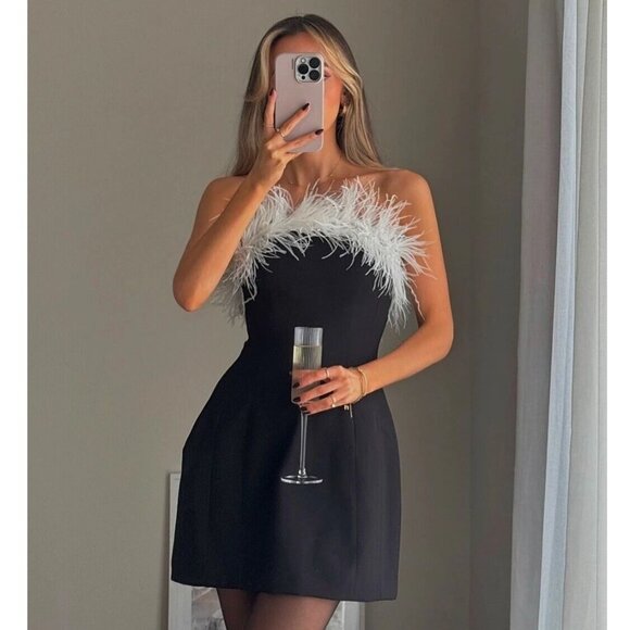 Zara Stretchy Feather Dress - Picture 1 of 14